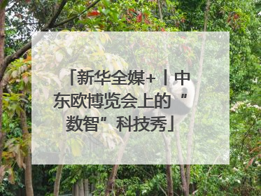 新华全媒+丨中东欧博览会上的“数智”科技秀