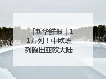 新华鲜报｜11万列！中欧班列跑出亚欧大陆“新时速”