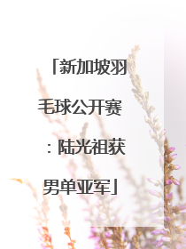 新加坡羽毛球公开赛：陆光祖获男单亚军