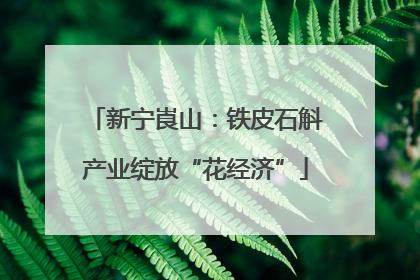 新宁崀山：铁皮石斛产业绽放“花经济”