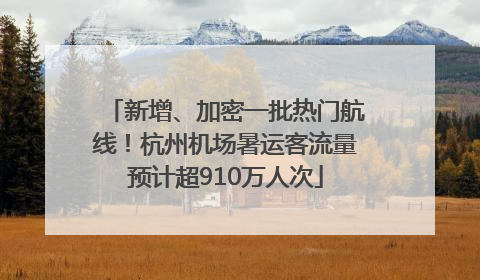 新增、加密一批热门航线！杭州机场暑运客流量预计超910万人次