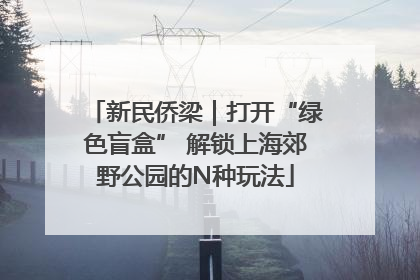 新民侨梁｜打开“绿色盲盒” 解锁上海郊野公园的N种玩法