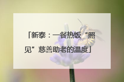 新泰：一餐热饭“照见”慈善助老的温度