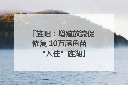 旌阳：增殖放流促修复 10万尾鱼苗“入住”旌湖