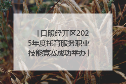 日照经开区2025年度托育服务职业技能竞赛成功举办