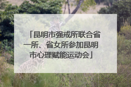 昆明市强戒所联合省一所、省女所参加昆明市心理赋能运动会