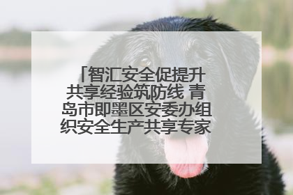 智汇安全促提升 共享经验筑防线 青岛市即墨区安委办组织安全生产共享专家现场观摩学习活动