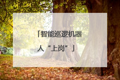 智能巡逻机器人“上岗”