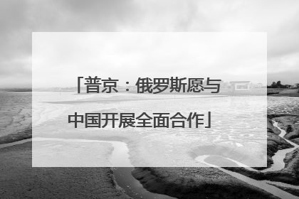 普京：俄罗斯愿与中国开展全面合作