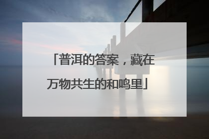 普洱的答案，藏在万物共生的和鸣里