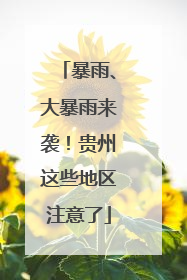 暴雨、大暴雨来袭！贵州这些地区注意了
