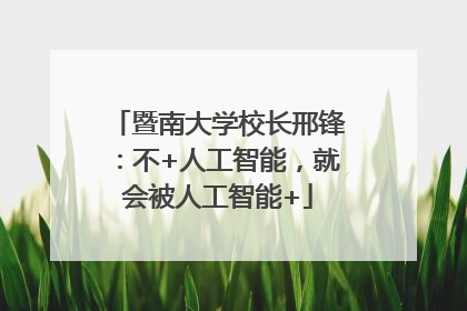 暨南大学校长邢锋：不+人工智能，就会被人工智能+