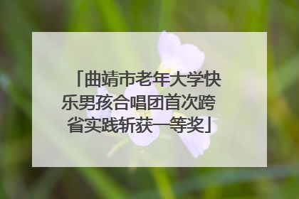 曲靖市老年大学快乐男孩合唱团首次跨省实践斩获一等奖