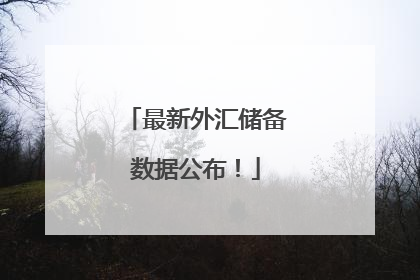 最新外汇储备数据公布！