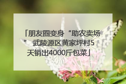 朋友圈变身“助农卖场” 武陵源区黄家坪村5天销出4000斤包菜