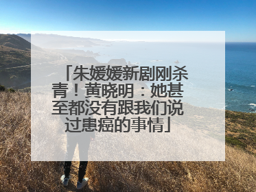 朱媛媛新剧刚杀青！黄晓明：她甚至都没有跟我们说过患癌的事情