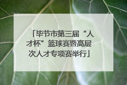 毕节市第三届“人才杯”篮球赛暨高层次人才专项赛举行