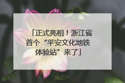正式亮相！浙江省首个“平安文化地铁体验站”来了