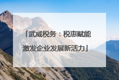 武威税务：税惠赋能 激发企业发展新活力