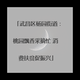 武昌区杨园街道：桃园飘香采摘忙 消费扶贫促振兴