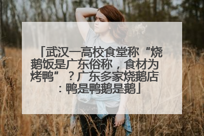 武汉一高校食堂称“烧鹅饭是广东俗称，食材为烤鸭”？广东多家烧鹅店：鸭是鸭鹅是鹅