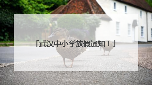 武汉中小学放假通知！