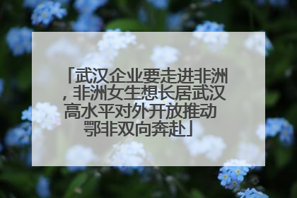 武汉企业要走进非洲，非洲女生想长居武汉 高水平对外开放推动鄂非双向奔赴
