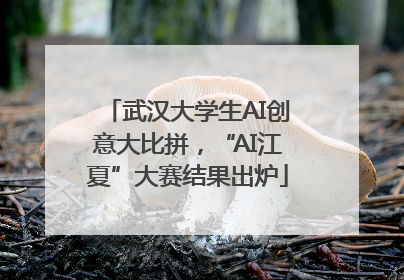 武汉大学生AI创意大比拼，“AI江夏”大赛结果出炉