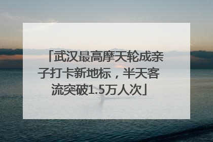 武汉最高摩天轮成亲子打卡新地标，半天客流突破1.5万人次