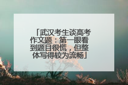 武汉考生谈高考作文题：第一眼看到题目很慌，但整体写得较为流畅