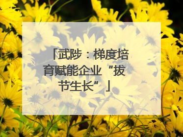 武陟：梯度培育赋能企业“拔节生长”