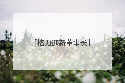 格力迎新董事长