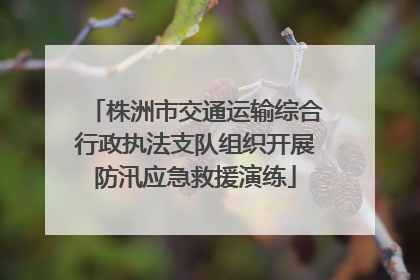株洲市交通运输综合行政执法支队组织开展防汛应急救援演练
