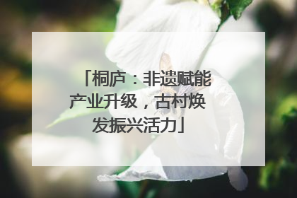 桐庐：非遗赋能产业升级，古村焕发振兴活力