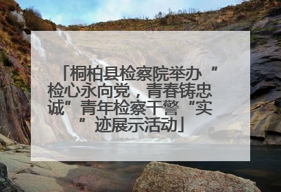桐柏县检察院举办“检心永向党，青春铸忠诚”青年检察干警“实”迹展示活动