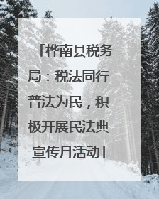 桦南县税务局：税法同行普法为民，积极开展民法典宣传月活动