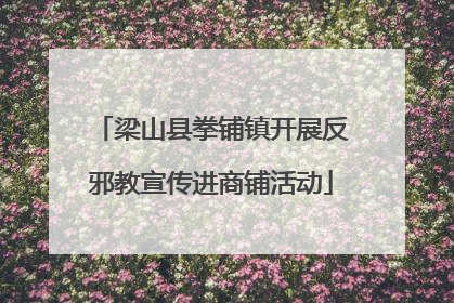梁山县拳铺镇开展反邪教宣传进商铺活动