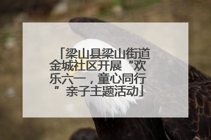 梁山县梁山街道金城社区开展“欢乐六一，童心同行”亲子主题活动