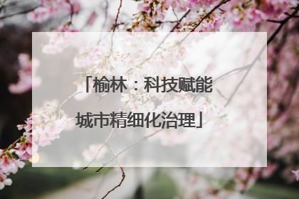 榆林：科技赋能城市精细化治理