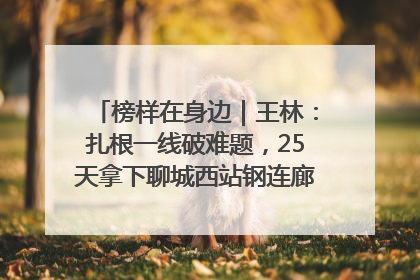 榜样在身边｜王林：扎根一线破难题，25天拿下聊城西站钢连廊“硬核”工程