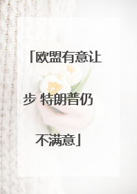 欧盟有意让步 特朗普仍不满意
