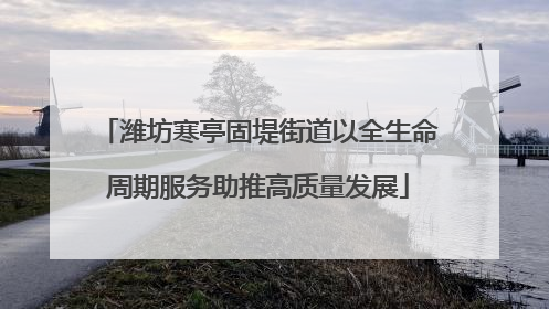 潍坊寒亭固堤街道以全生命周期服务助推高质量发展