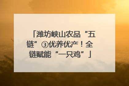 潍坊峡山农品“五链”③优养优产！全链赋能“一只鸡”