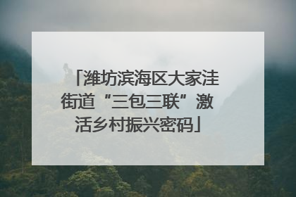 潍坊滨海区大家洼街道“三包三联”激活乡村振兴密码