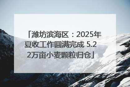 潍坊滨海区：2025年夏收工作圆满完成 5.22万亩小麦颗粒归仓