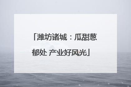 潍坊诸城：瓜甜葱郁处 产业好风光