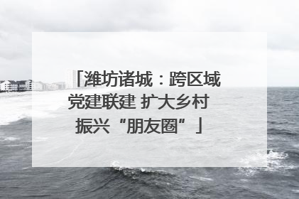 潍坊诸城：跨区域党建联建 扩大乡村振兴“朋友圈”