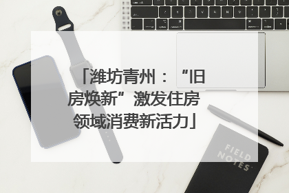 潍坊青州：“旧房焕新”激发住房领域消费新活力