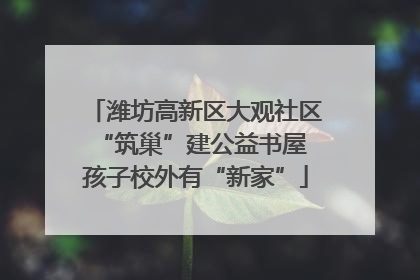潍坊高新区大观社区“筑巢”建公益书屋 孩子校外有“新家”