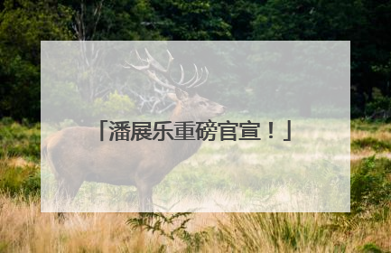 潘展乐重磅官宣！